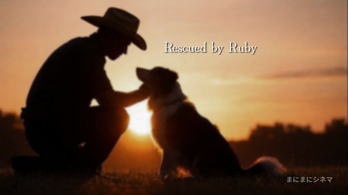 夕暮れの中、保安官の帽子をかぶった警察官が保護犬と向き合うシルエット。映画『レスキュードッグ・ルビー』の実話ベースの感動を象徴するイメージ